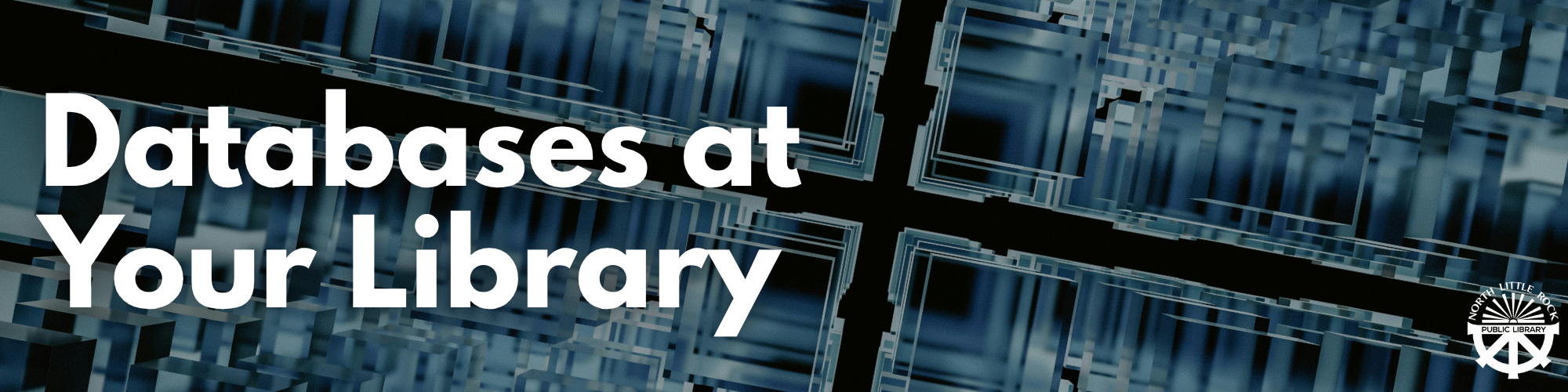 Text reading Databases at Your Library on a blue, computer tech-style background.