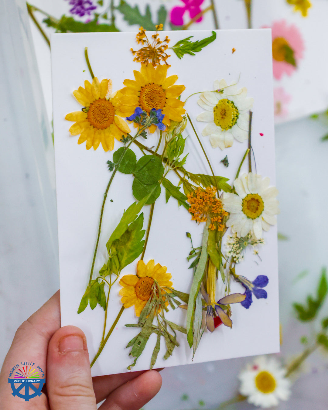 Died flowers and plants arranged on a white note card.