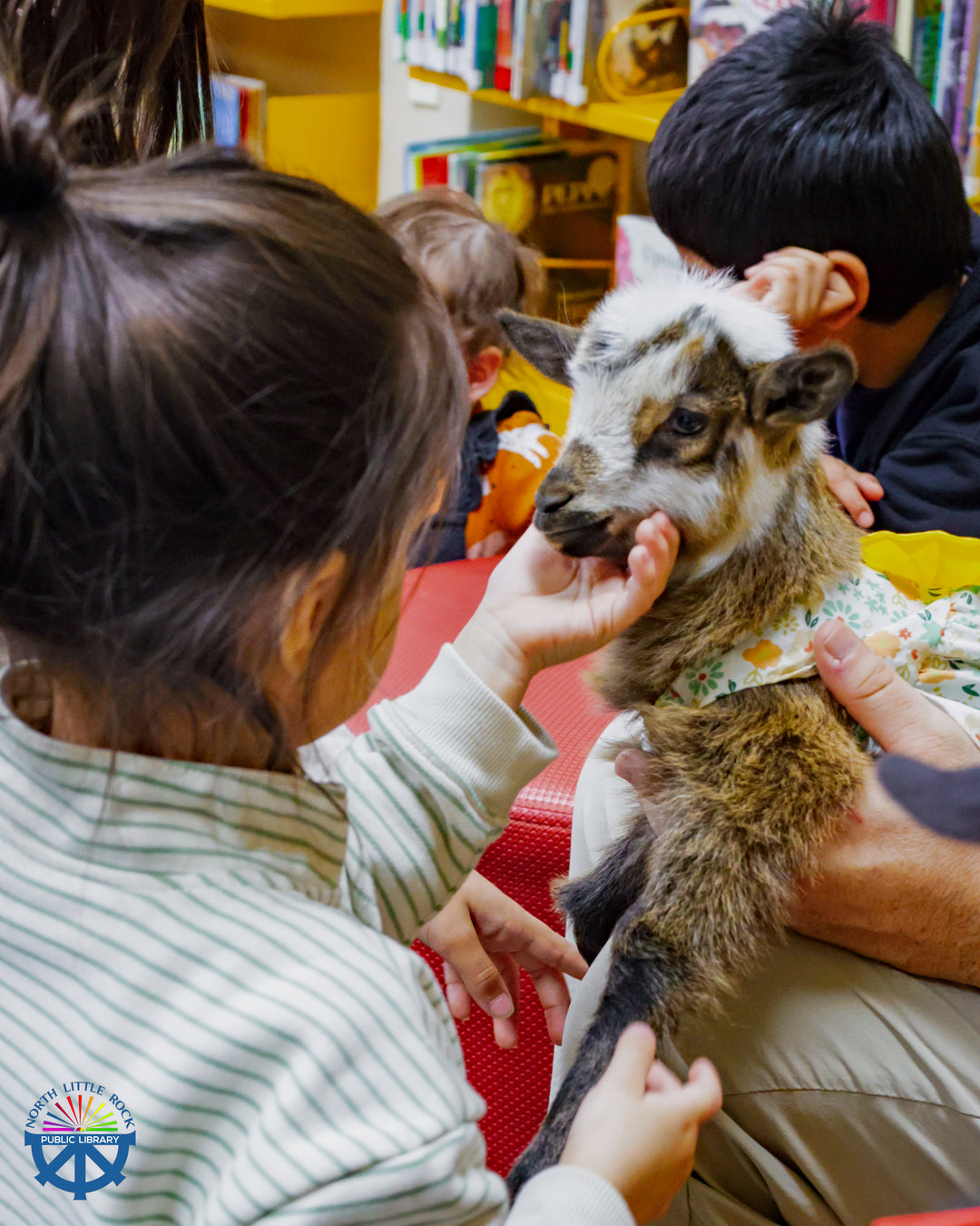A child touches a baby goat on the chin while other children sit on the floor in the background,.