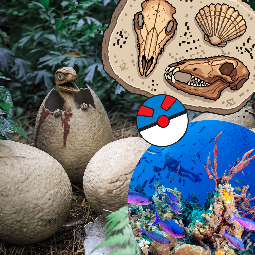 Collage of a dinosaur hatching, fossils, a Pokeball, and a colorful underwater scene.